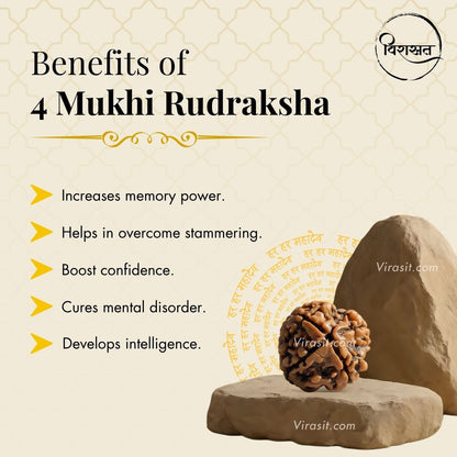 Nepali 4 Mukhi Rudraksha Pendant – 100% Natural & Certified