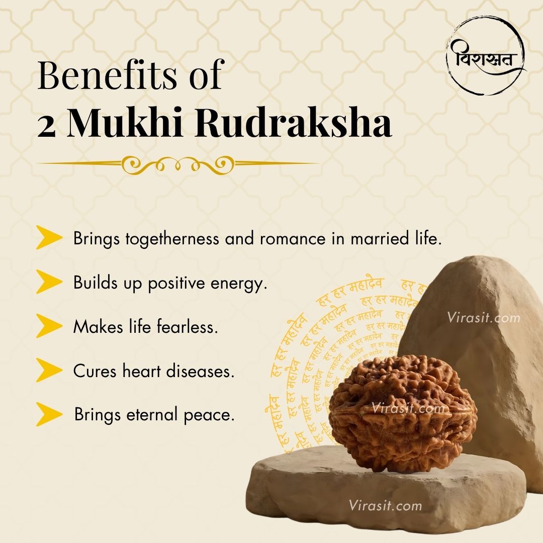 Nepali 2 Mukhi Rudraksha Pendant – 100% Natural & Certified