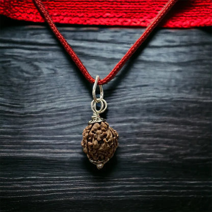 Nepali 4 Mukhi Rudraksha – 100% Natural & Certified