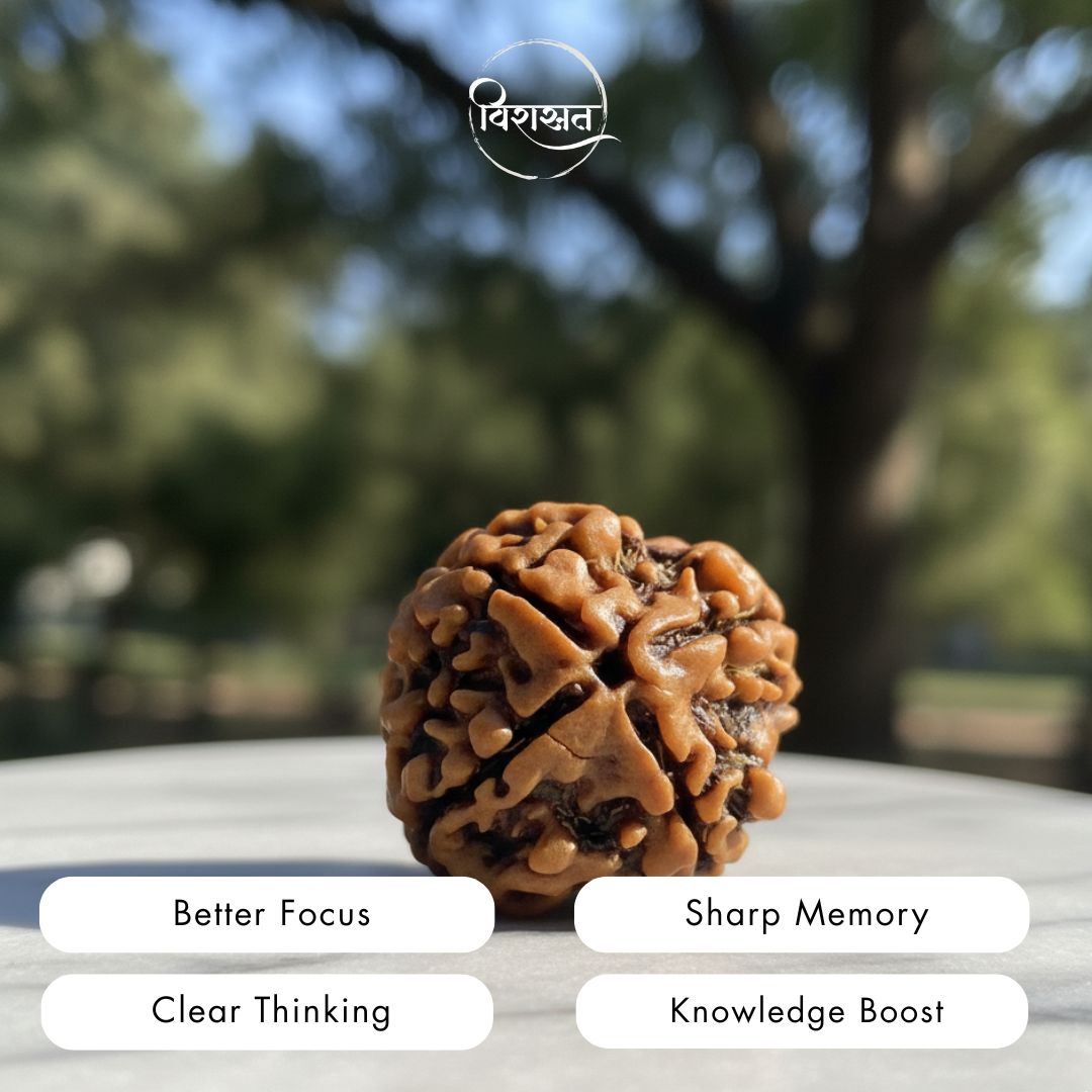 Nepali 4 Mukhi Rudraksha