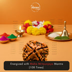 Nepali 4 Mukhi Rudraksha