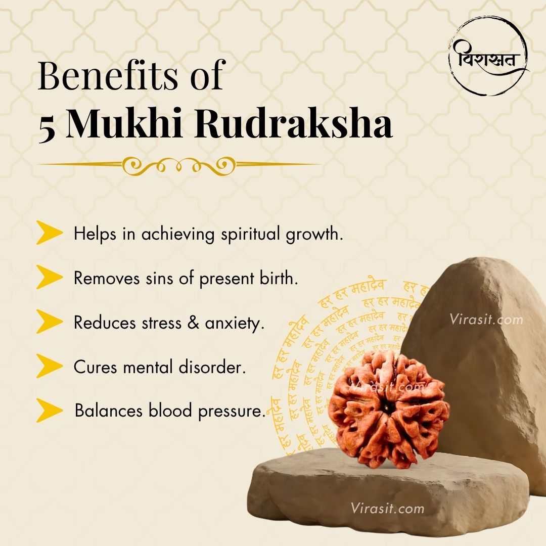 Nepali 5 Mukhi Rudraksha Pendant – 100% Natural & Certified