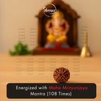 Nepali 5 Mukhi Rudraksha