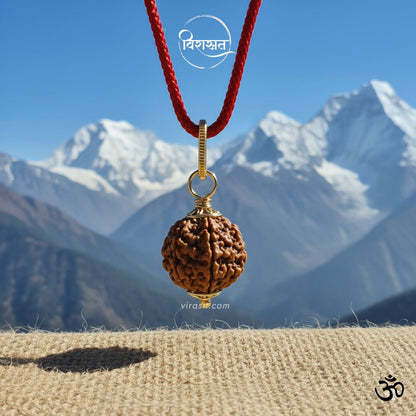 Nepali 5 Mukhi Rudraksha – The Sacred Bead of Balance & Protection