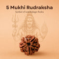 Nepali 5 Mukhi Rudraksha