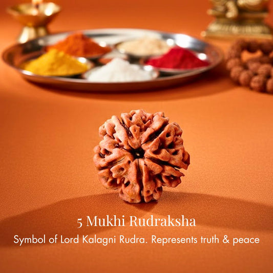 Nepali 5 Mukhi Rudraksha