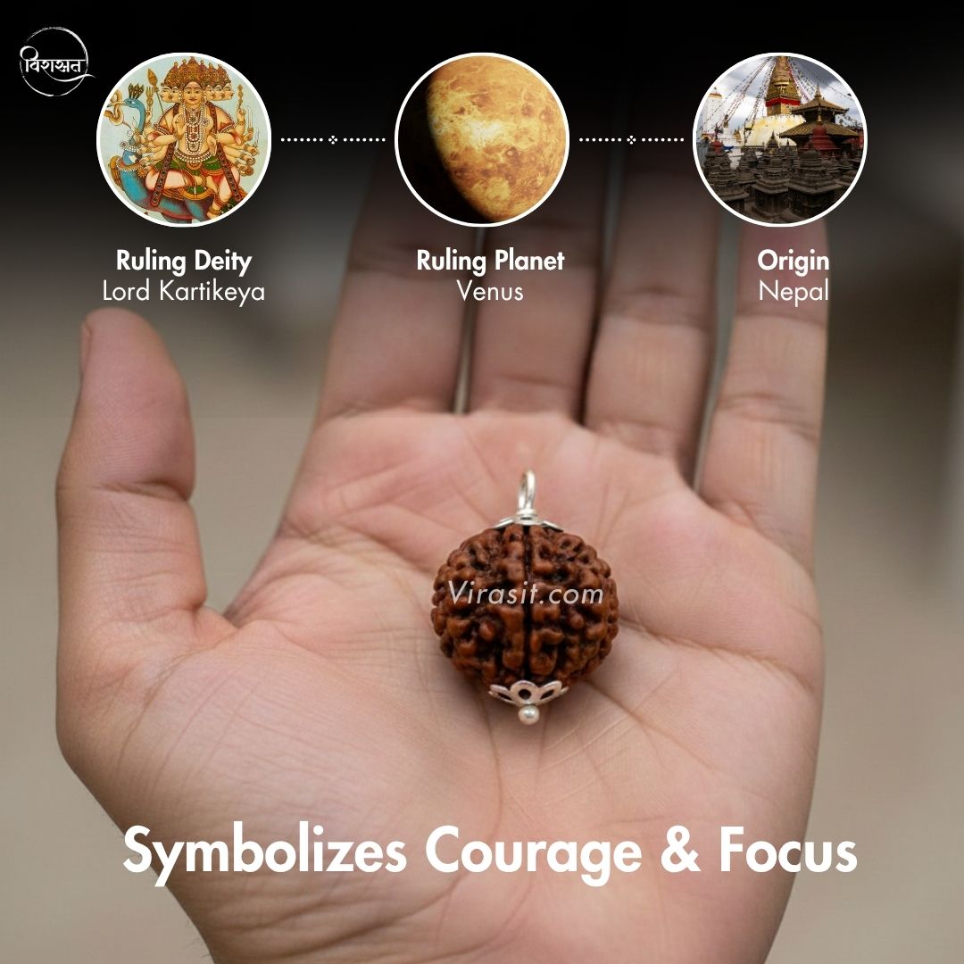 Nepali 6 Mukhi Rudraksha Pendant – 100% Natural & Certified