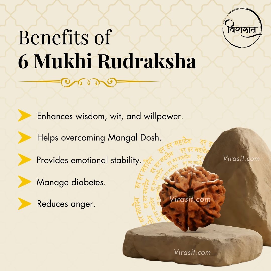 Nepali 6 Mukhi Rudraksha Pendant – 100% Natural & Certified