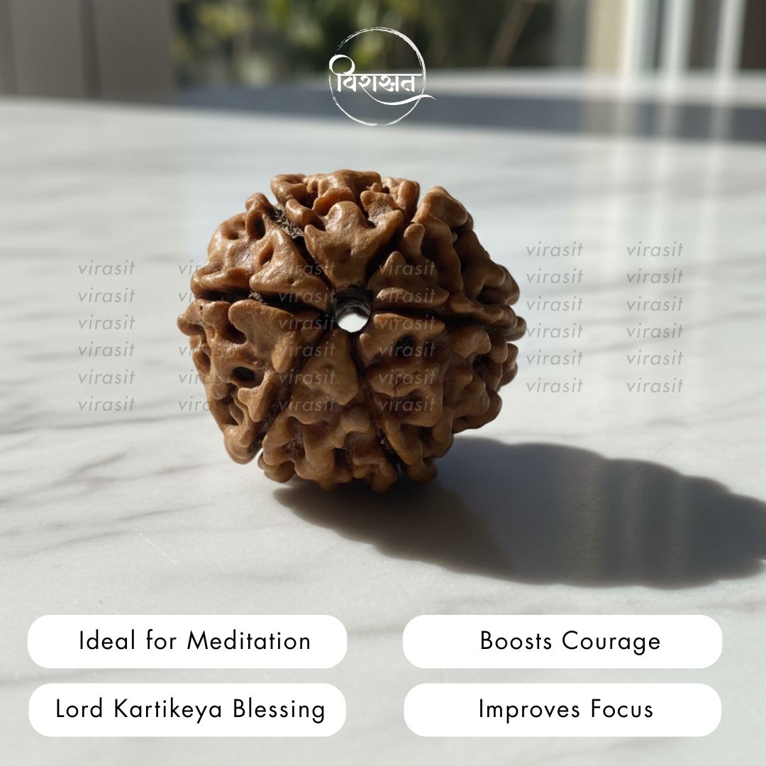 Nepali 6 Mukhi Rudraksha