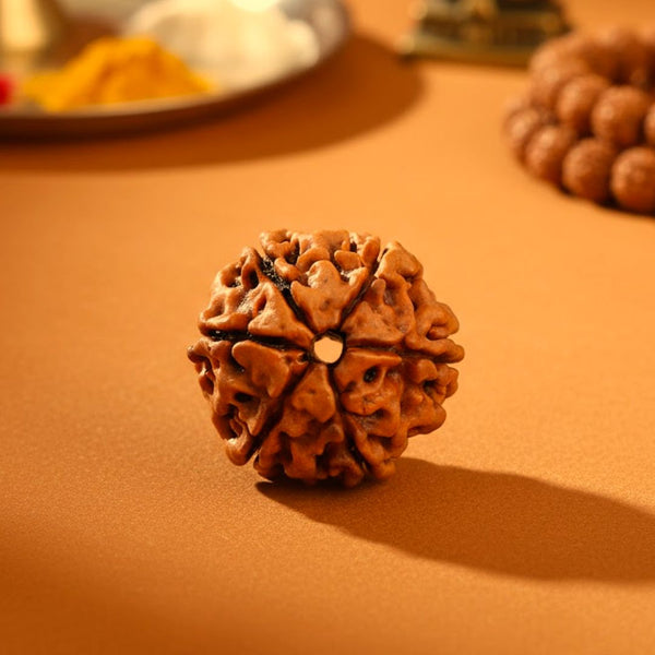 Rudraksha Pendant & Beads