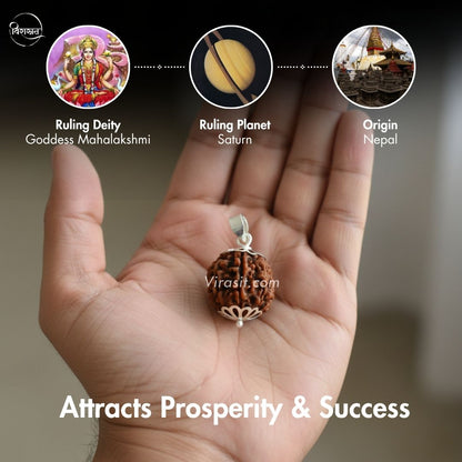 Nepali 7 Mukhi Rudraksha Pendant – 100% Natural & Certified