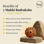Nepali 7 Mukhi Rudraksha Pendant – 100% Natural & Certified