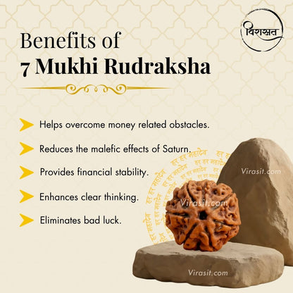 Nepali 7 Mukhi Rudraksha Pendant – 100% Natural & Certified