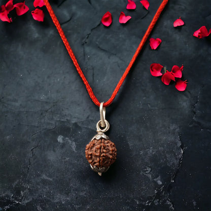 Nepali 7 Mukhi Rudraksha – 100% Natural & Certified