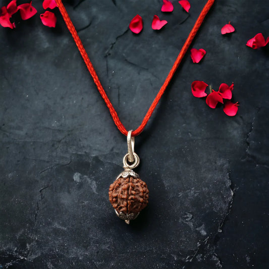 Nepali 7 Mukhi Rudraksha – 100% Natural & Certified