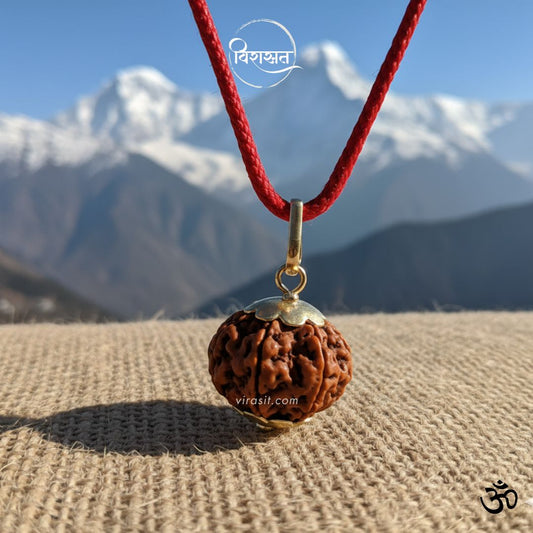 Nepali 9 Mukhi Rudraksha – 100% Natural & Certified