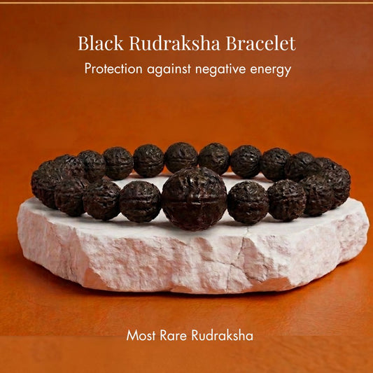 5 Mukhi Black Rudraksha Bracelet with Guru Bead