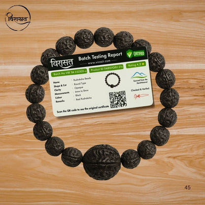 5 Mukhi Black Rudraksha Bracelet with Guru Bead