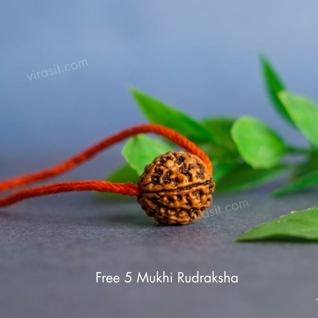 Free 5 Mukhi Rudraksha