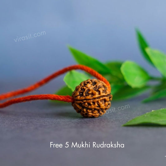 Free 5 Mukhi Rudraksha