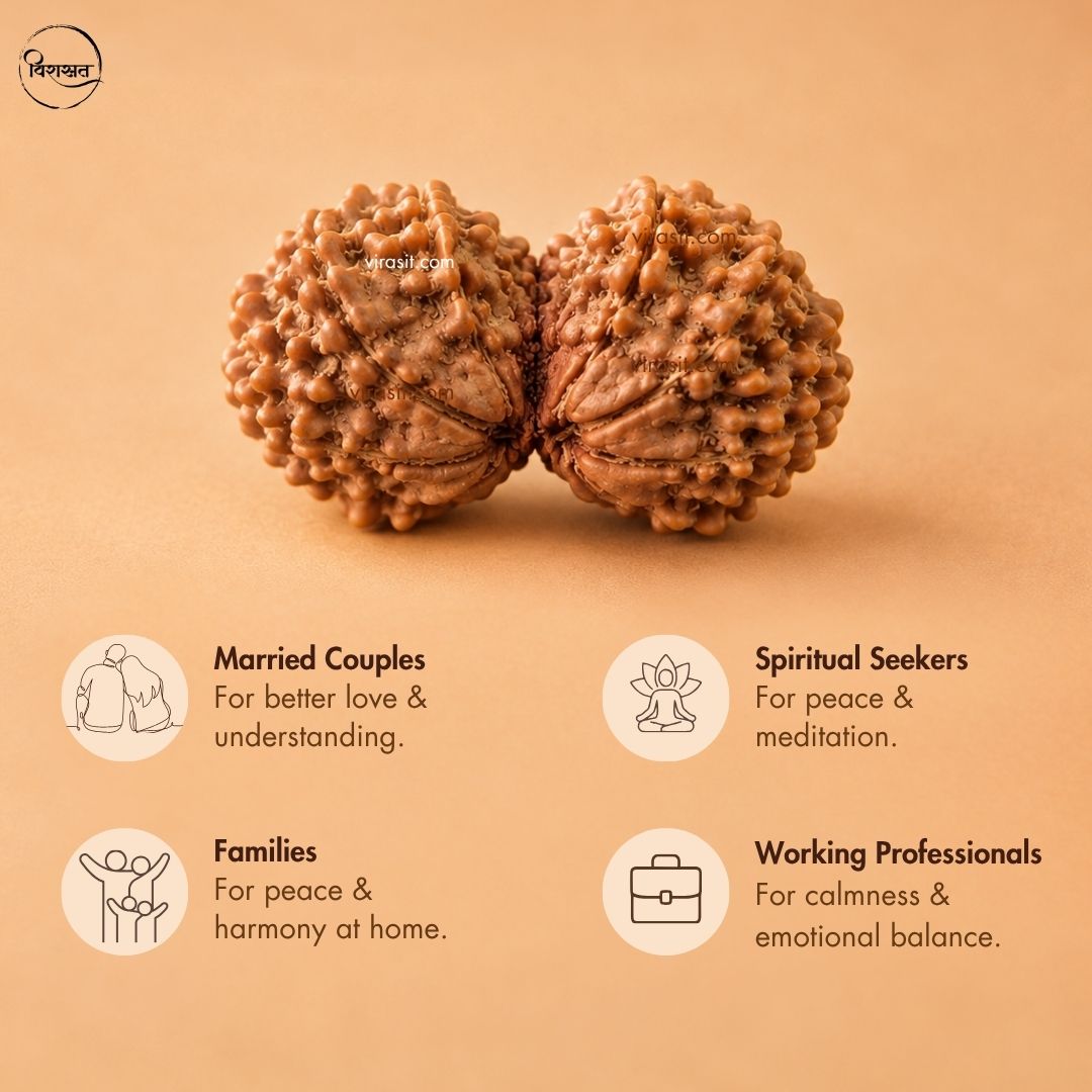 Nepali Gauri-Shankar Rudraksha