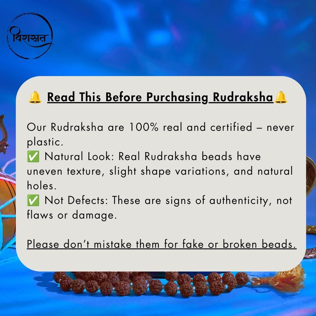 Nepali 2 Mukhi Rudraksha Pendant – 100% Natural & Certified
