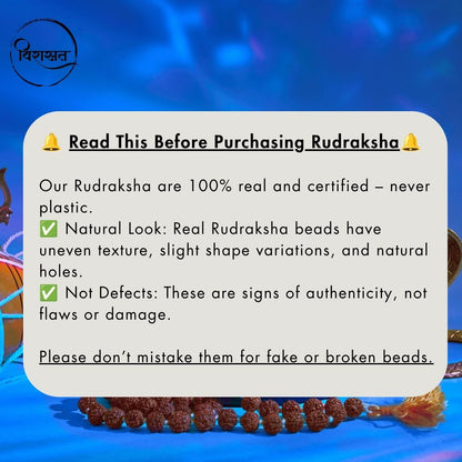 Nepali 2 Mukhi Rudraksha Pendant – 100% Natural & Certified