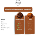 5 Mukhi Rudraksha Mala