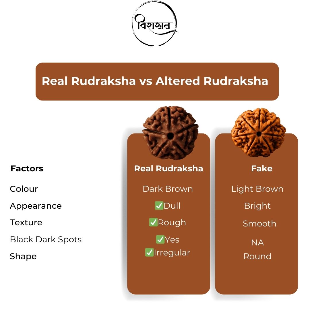 5 Mukhi Rudraksha Mala