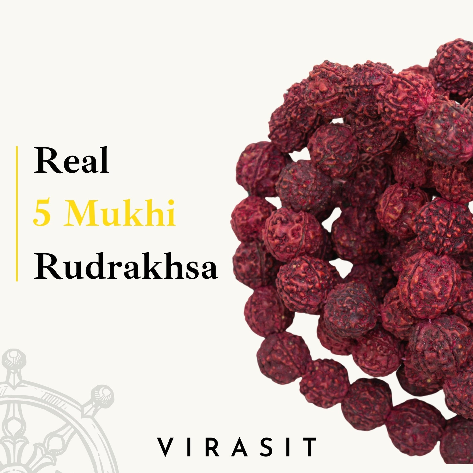 5 Mukhi Rudraksha Mala - VirasitRudraksha mala