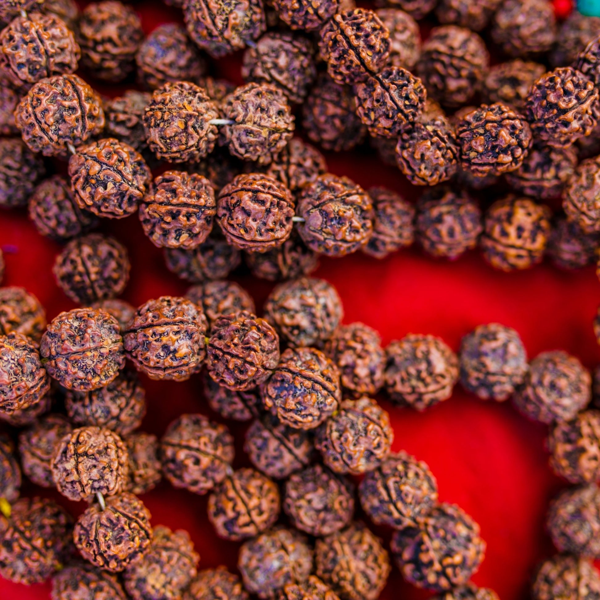 5 Mukhi Rudraksha Mala - VirasitRudraksha mala