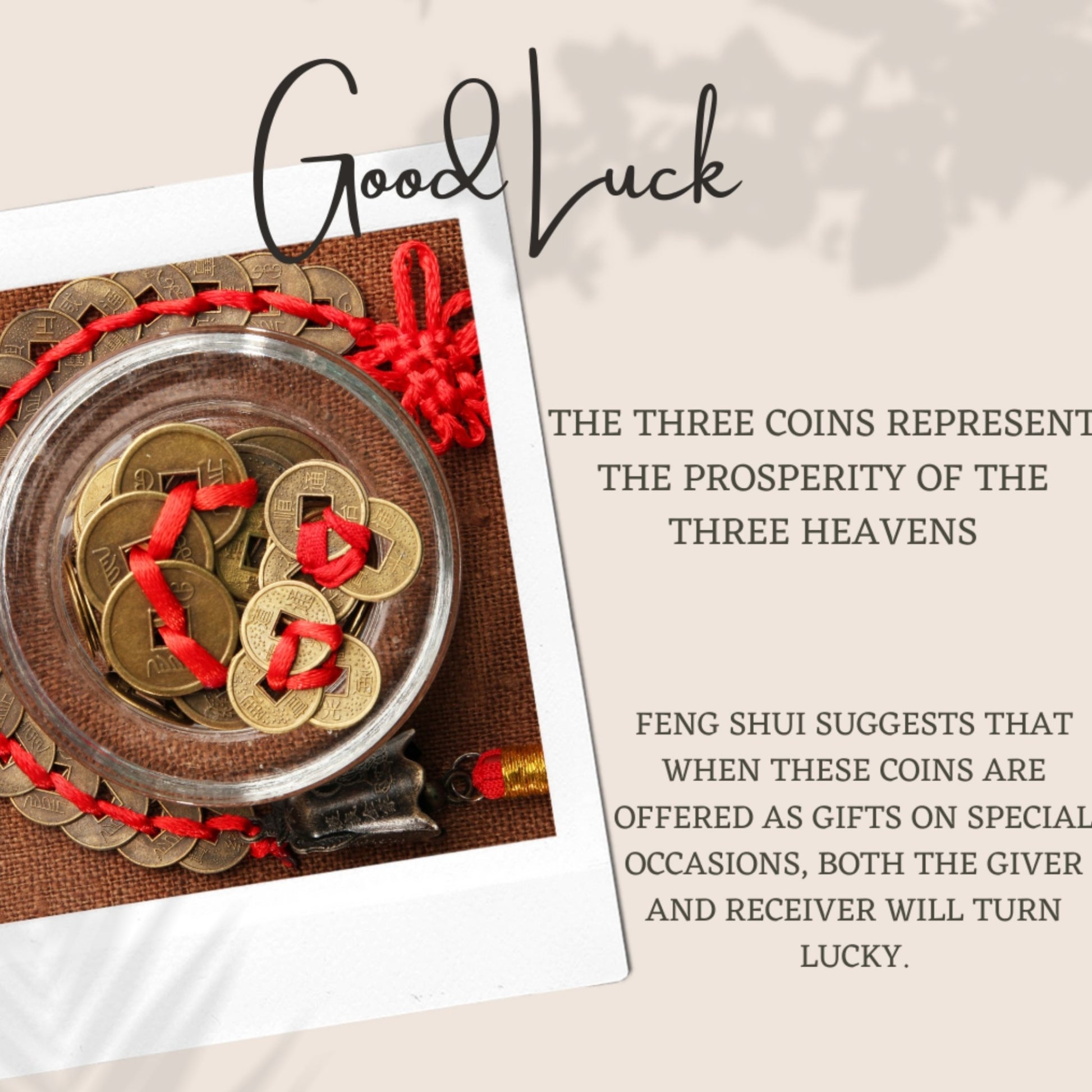 Feng-Shui Lucky Coin (Set of 3) - Virasitlucky coin