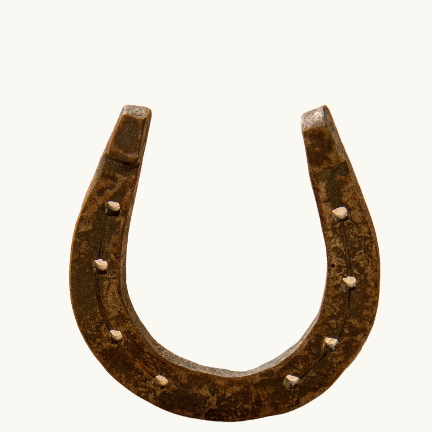 Horse-Shoe / Kale Ghode ki Naal - VirasitHorse shoe